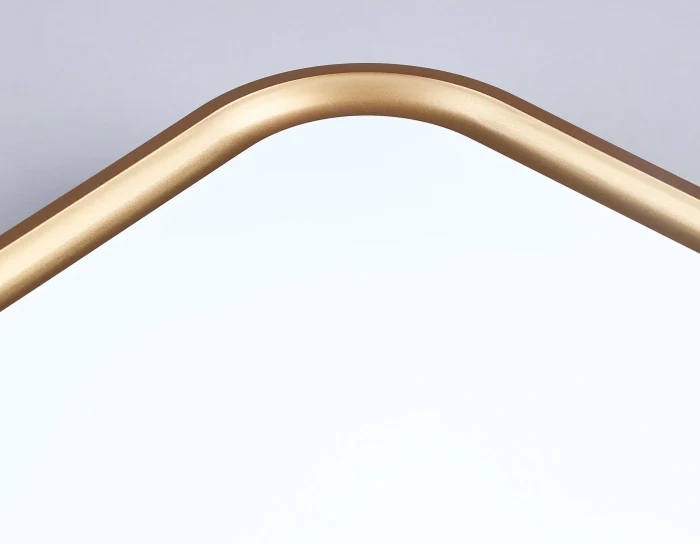 Потолочный светодиодный светильник Ambrella light FZ1259