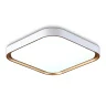 Потолочный светодиодный светильник Ambrella light FZ1259