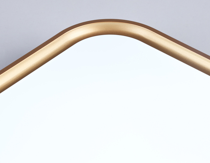 Потолочный светодиодный светильник Ambrella light FZ1259