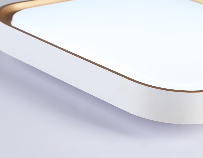 Потолочный светодиодный светильник Ambrella light FZ1259