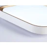 Потолочный светодиодный светильник Ambrella light FZ1259