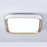 Потолочный светодиодный светильник Ambrella light FZ1259