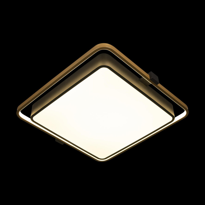 Потолочный светильник Loft it Mike 10172