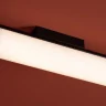 Потолочный светильник Freya Even FR5625CL-L20B