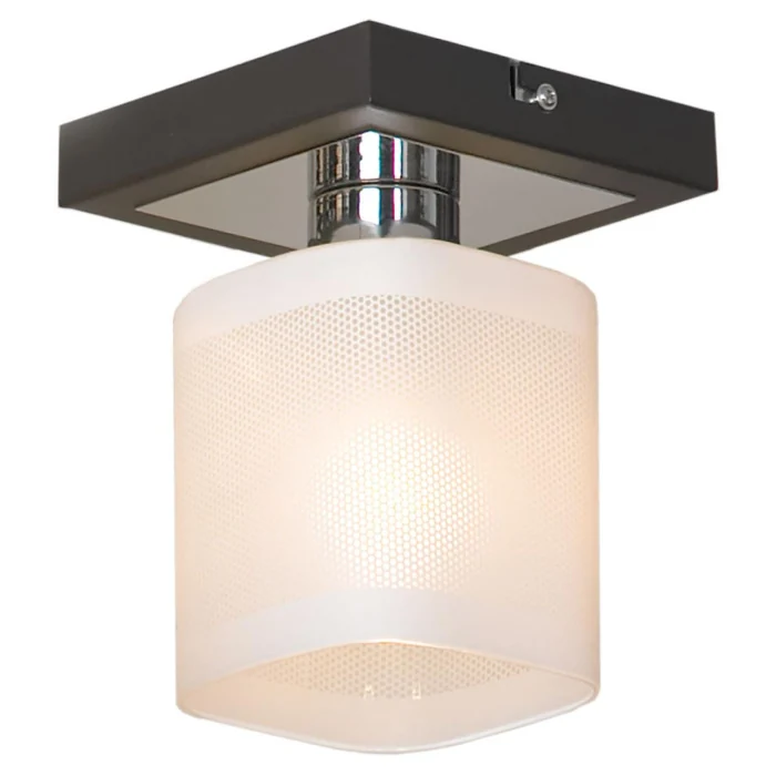 Потолочный светильник Lussole Costanzo LSL-9007-01