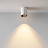 Потолочный светильник Maytoni Alfa LED C064CL-8W2.7K-RD-WB