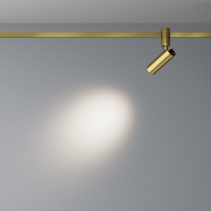 Трековый светильник Maytoni Focus LED TR144-1-12W4K-W-BS