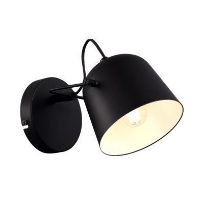 Настенный светильник evoluce BLANK SLE1805-401-01