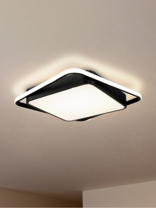 Потолочный светильник Freya Arvin FR10030CL-L88B