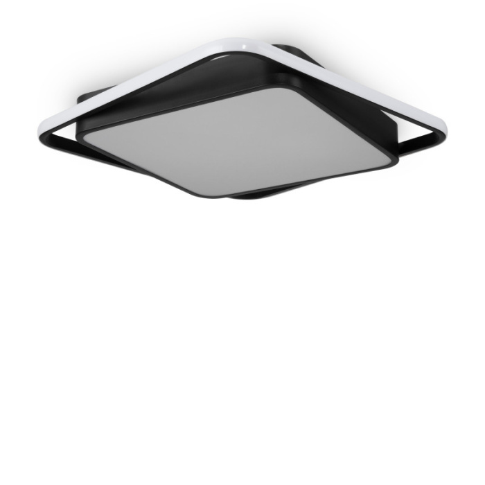 Потолочный светильник Freya Arvin FR10030CL-L88B