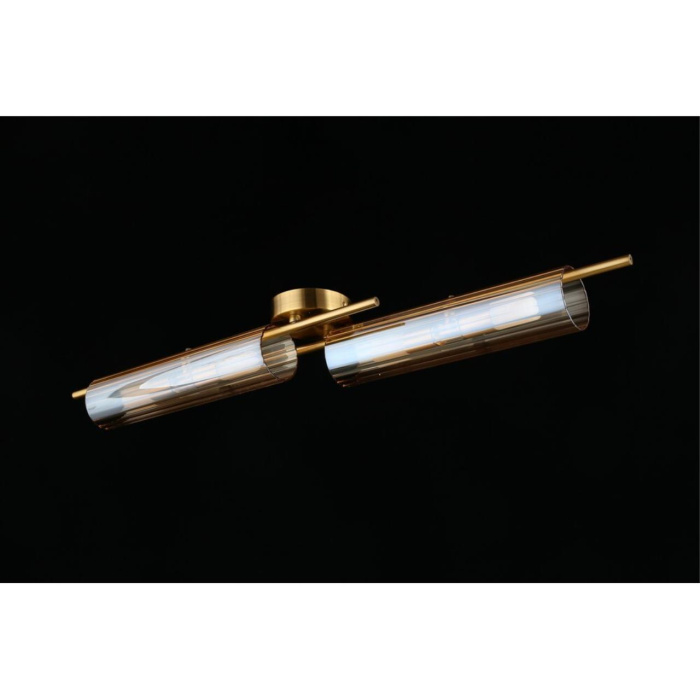 Люстра потолочная Aployt Lusia APL.315.07.04