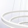Светильник подвесной Citilux Дуэт CL719680