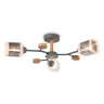 Потолочный светильник Ambrella light TR3033231