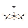Подвесной светильник в стиле лофт Ambrella light TR80488