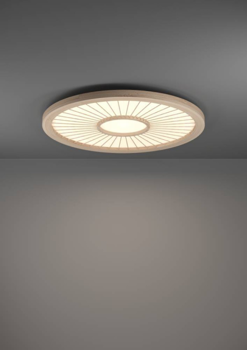 Светильник потолочный DEHESA EGLO 390296