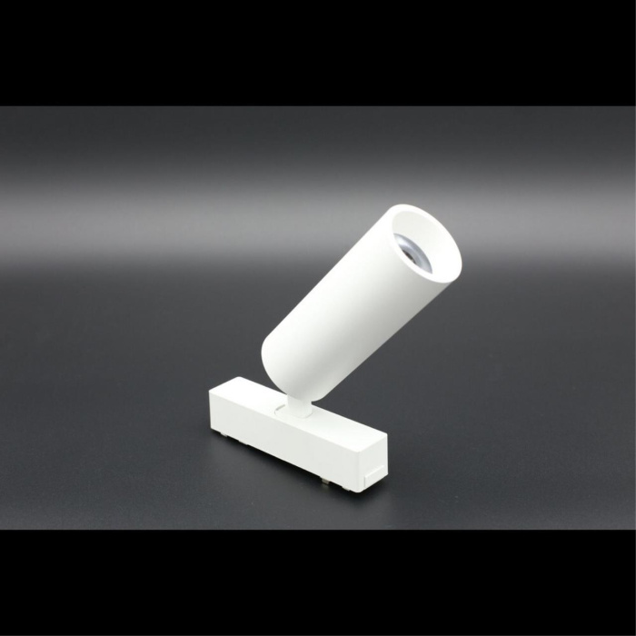 Светильник трековый Aployt Magnetic track 48 APL.0113.10.09