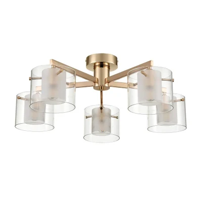 Накладная люстра Lumion Verdi 6587/5C