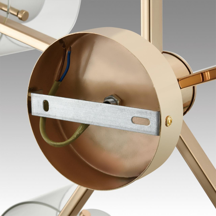 Накладная люстра Lumion Verdi 6587/5C