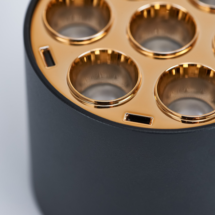 Накладной светильник Lightstar Guarda 80642