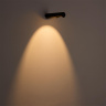 Настенный светильник Odeon Light Bamboo 7021/3WL