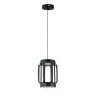 Подвесной светильник Indigo Capsula 14027/2P Black V000155L