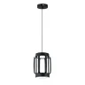 Подвесной светильник Indigo Capsula 14027/2P Black V000155L