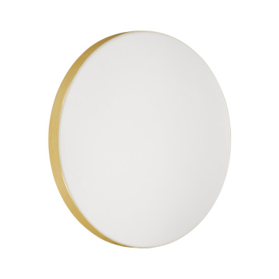 Настенно-потолочный светильник SONEX SMALLI 3066/CL