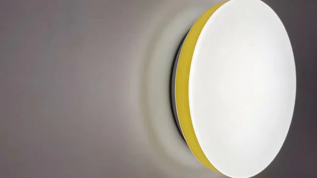 Настенно-потолочный светильник SONEX SMALLI 3066/CL