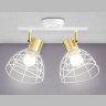 Настенно-потолочный спот в стиле лофт Ambrella light TR8601