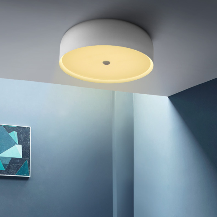 Потолочный светильник CYLINDER B White ImperiumLoft