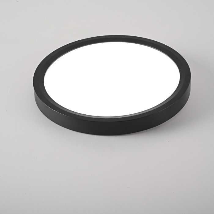 Потолочный светильник SLIM D17 Черный ImperiumLoft