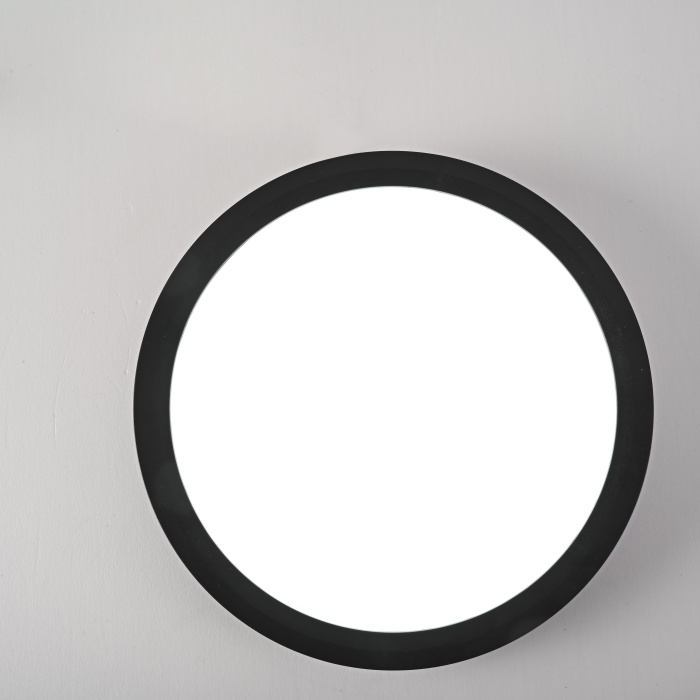 Потолочный светильник SLIM D17 Черный ImperiumLoft