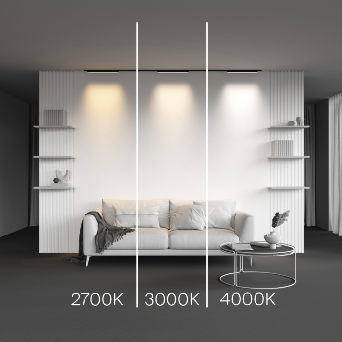 Трековый светильник Maytoni Basis TR192-1-12W4K-B