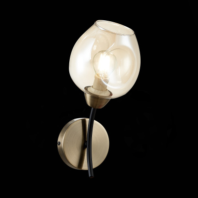 Настенный светильник evoluce BESANO SLE205301-01