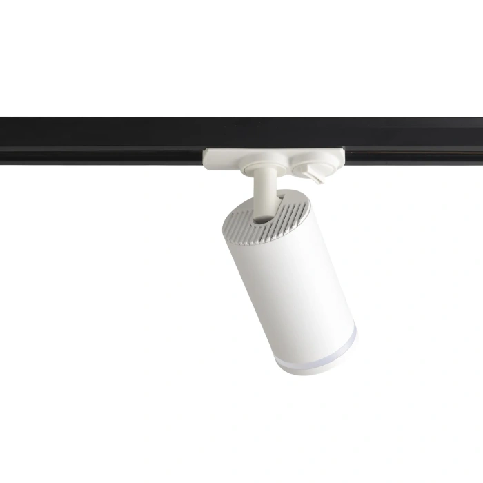 Светильник однофазный Basic Crystal Lux CLT 0.31 019 WH