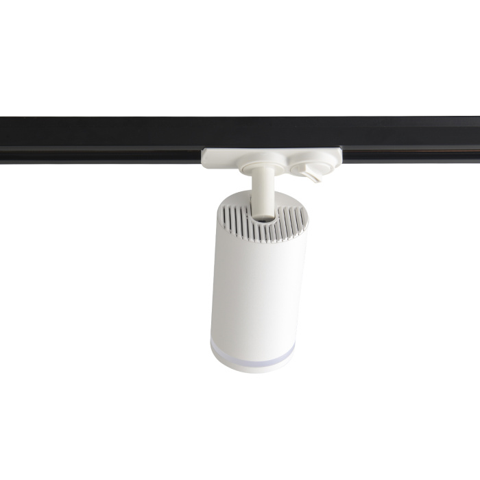 Светильник однофазный Basic Crystal Lux CLT 0.31 019 WH