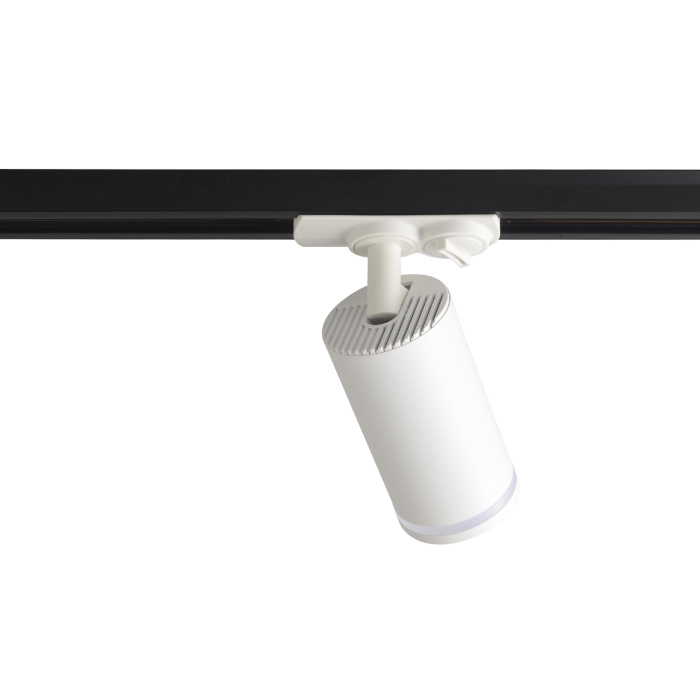 Светильник однофазный Basic Crystal Lux CLT 0.31 019 WH