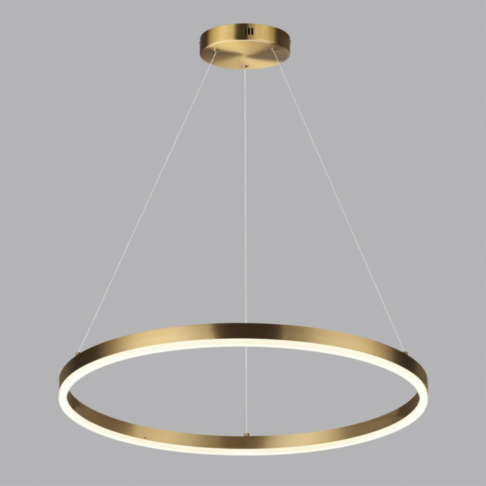 Светильник подвесной Lumion Echo 6531/50L