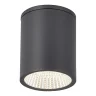Светильник уличный потолочный ST-LuceСерый/белый LED 1*12W 3000K/4000K/6500K SL9514.712.01
