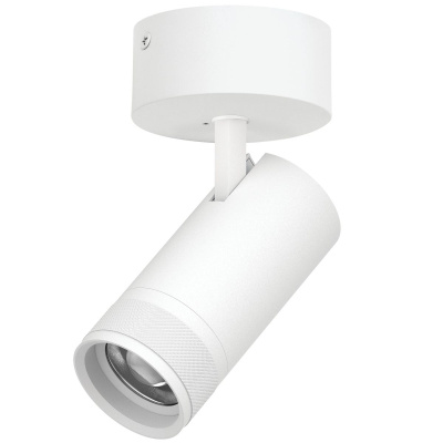 Спот 20-55G с адаптером Lightstar Canno Pro C4306SO