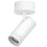 Спот 20-55G с адаптером Lightstar Canno Pro C4306SO
