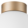 Плафон потолочный Globo Lightstar 812013