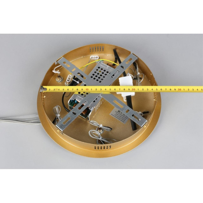 Подвесной светодиодный светильник Aployt Janina APL.018.13.60