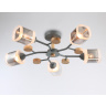 Потолочный светильник Ambrella light TR3033233