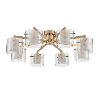 Накладная люстра Lumion Verdi 6587/8C