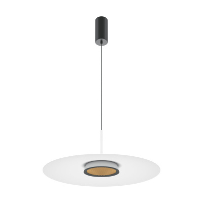 Подвесной светильник Maytoni MOD041PL-L15W3K1