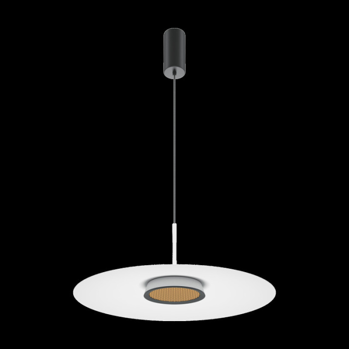 Подвесной светильник Maytoni MOD041PL-L15W3K1