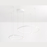 Подвесной светодиодный светильник Ambrella light FL5521