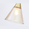 Подвесной светильник Ambrella light TR3173