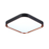 Потолочный светодиодный светильник Ambrella light FZ1265